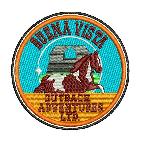 buena-vista-software