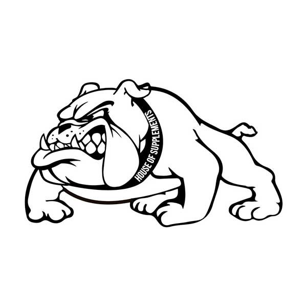 bulldog-image